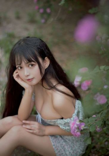 情圣在线观看