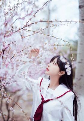 姐姐资源
