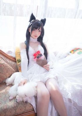 完美世界在线剧场版免费播放